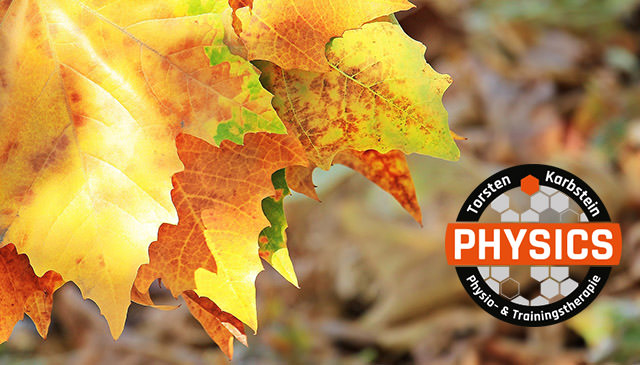 Herbstangebot 2018 Physics Zentrum für Physio und Traingstherapie in Wasserburg am Inn