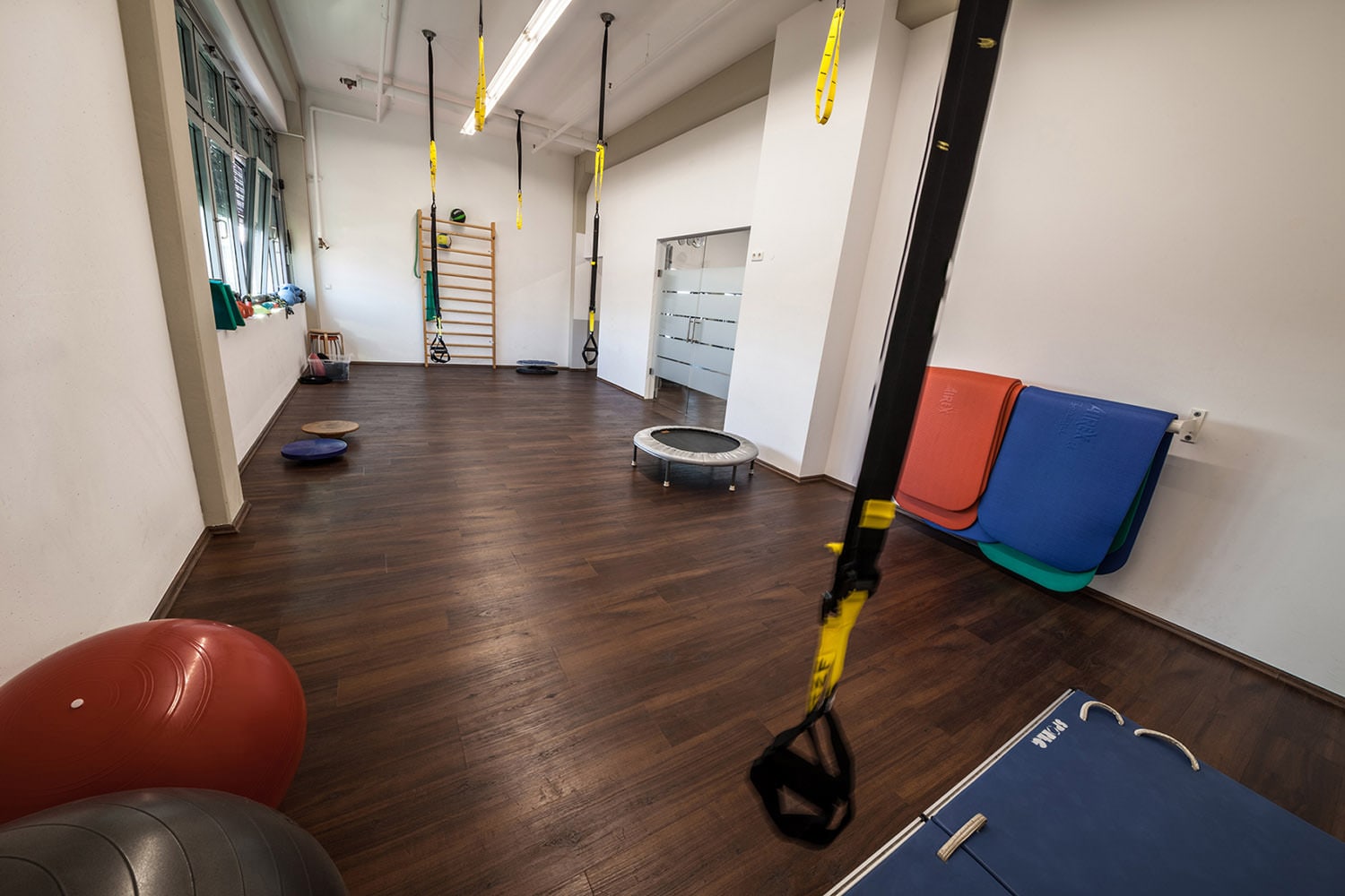 Heller Trainings- und Therapieraum mit gelb-schwarzen TRX-Bändern von der Decke. An der Rückwand eine braune Sprossenwand, vorne Gymnastikbälle, Matten, ein Trampolin und eine Glastür.