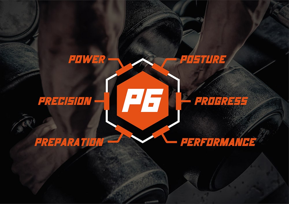 P6 Grafik - Wabe mit Trainingskonzept - Power - Posture - Progress - Performance - Preparation - Prescision - Power